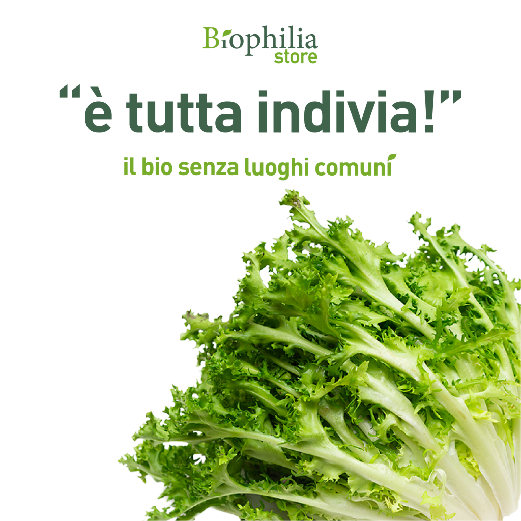 Comunicazione e social media nel settore Bio: il caso Biophilia